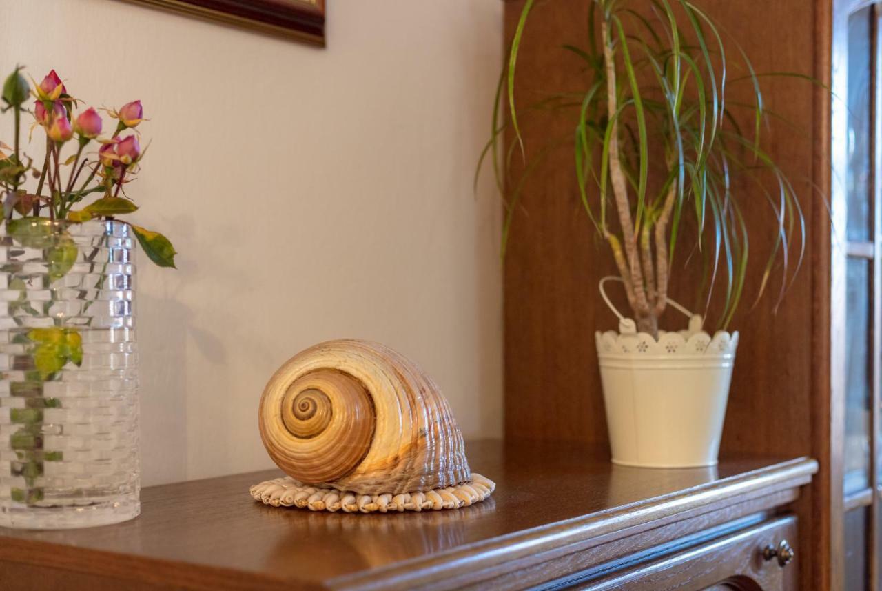 Vacation Home Duilo Donji Zemunik Exterior foto